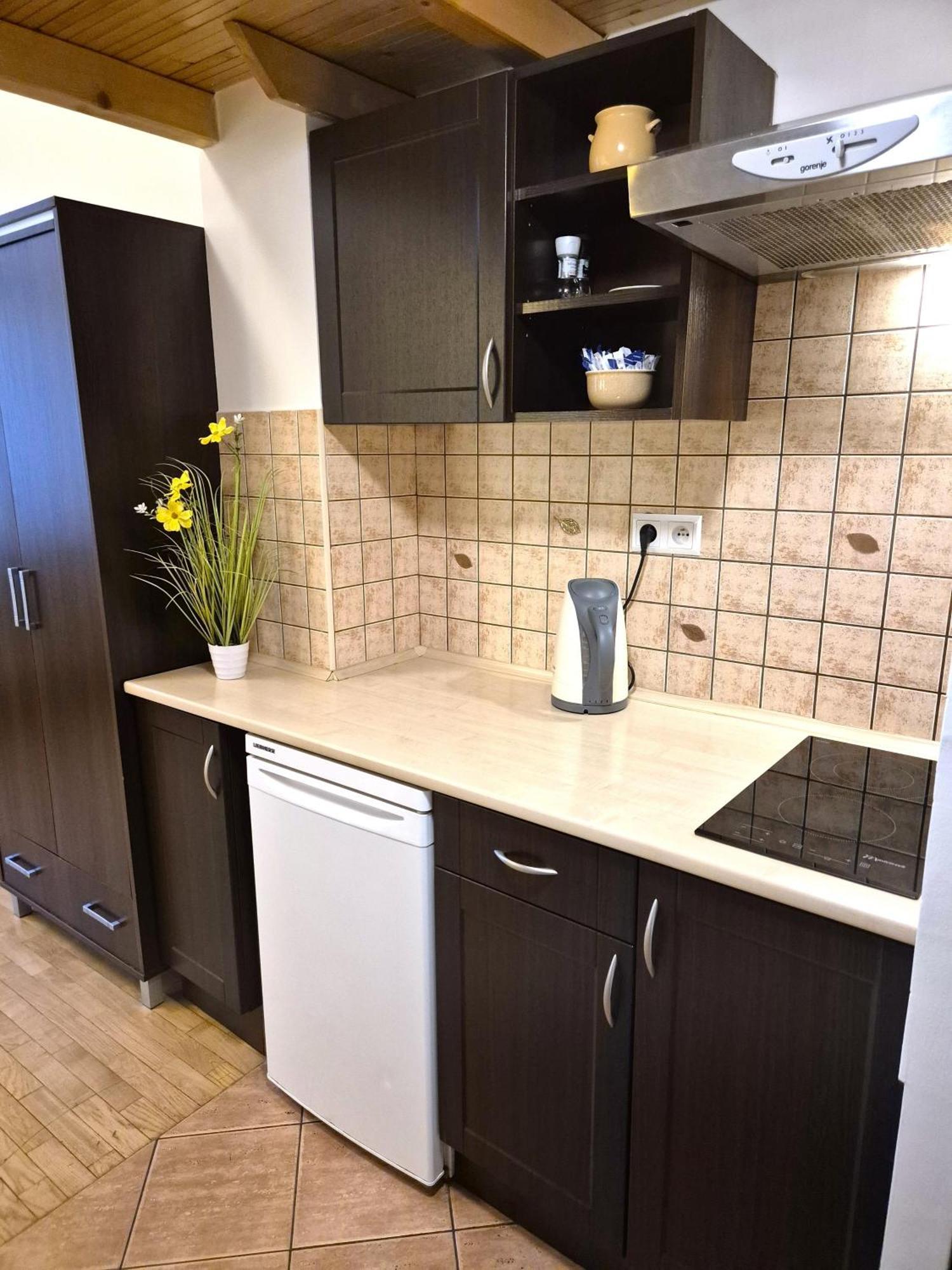 Safona - Pantheon Apartments Krakow Luaran gambar