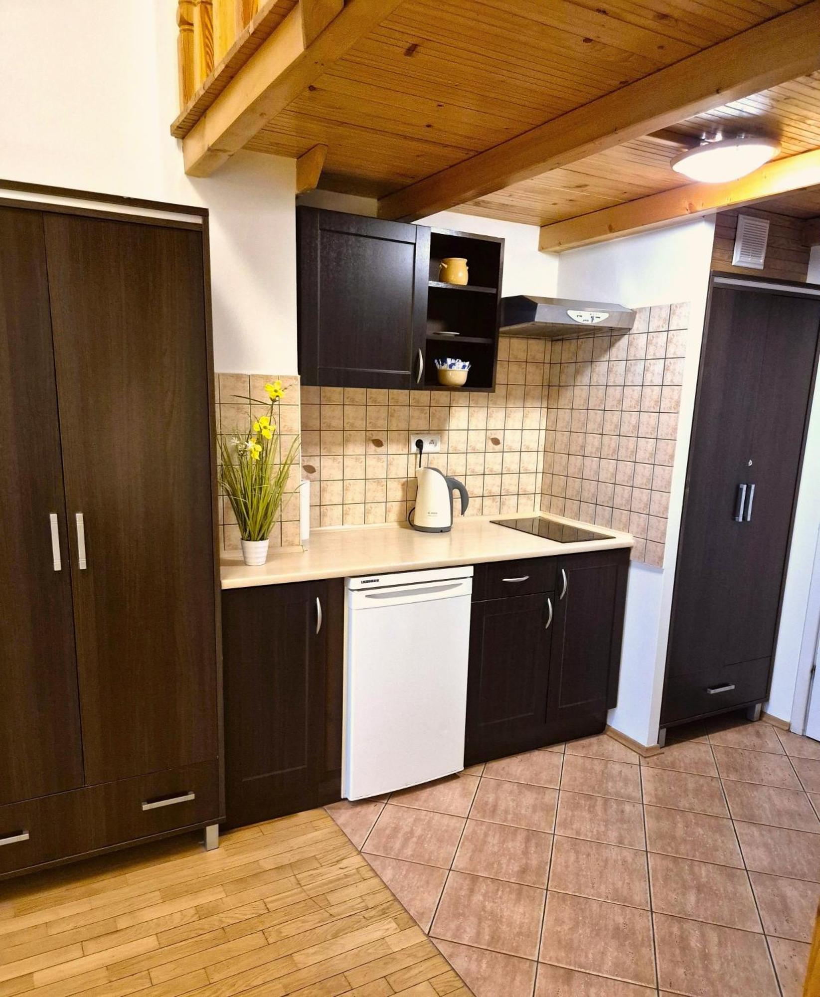 Safona - Pantheon Apartments Krakow Luaran gambar